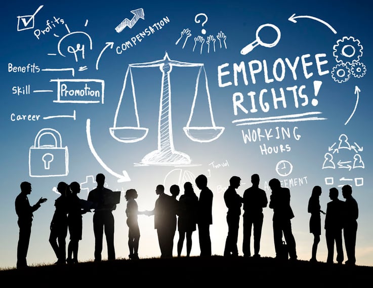 5 Ways Risk Management is Reshaping Employment Law